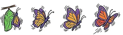 Transformative consulting — brand strategy and client acquisition